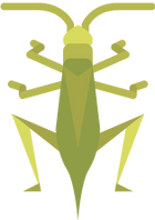 grasshoppers