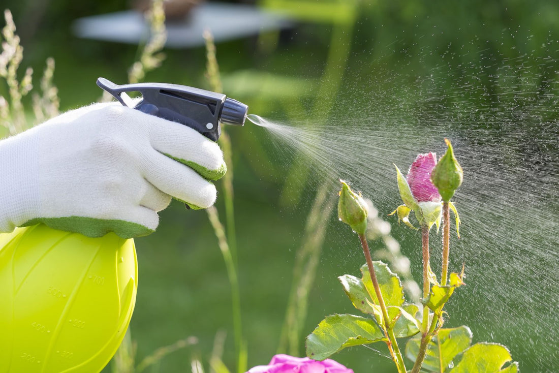 DIY Pest Control Guide: Simple, Plant-Based Solutions For A Pest-Free Home