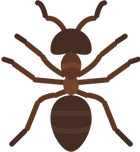ants