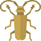 beetles
