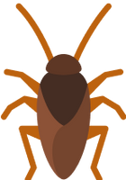 cockroaches