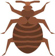 FLEAS