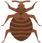 fleas