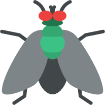 FLIES