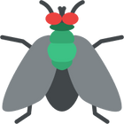 flies