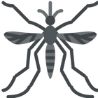 mosquitos