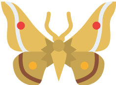 MOTHS