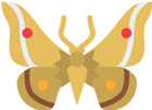 moths