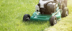 Maintain Landscaping