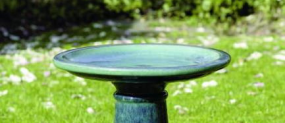 Remove Standing Water