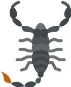 scorpions