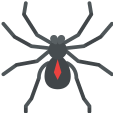 SPIDERS
